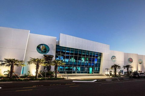Cairns Aquarium Admission Ticket - Surfers Gold Coast 4