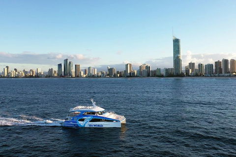 Whale Watching By Sea World Cruises - Surfers Gold Coast 1