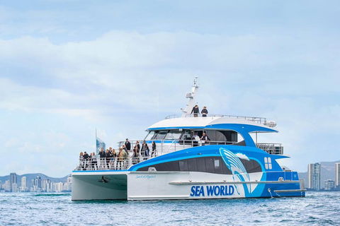Whale Watching By Sea World Cruises - Surfers Gold Coast 3