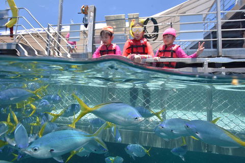 Outer Reef Pontoon Experience From Cairns - Surfers Gold Coast 0