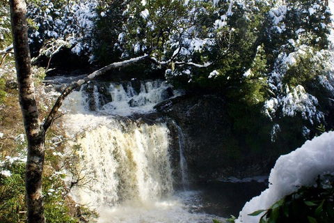 Cradle Mountain Park Explorer Guided Tour - Surfers Gold Coast 4