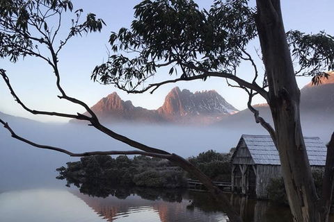 Cradle Mountain Park Explorer Guided Tour - Surfers Gold Coast 5