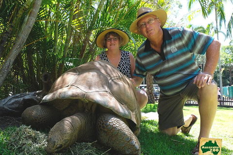 Small-Group Australia Zoo Day Trip From Brisbane - Surfers Gold Coast 1