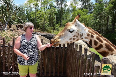 Small-Group Australia Zoo Day Trip From Brisbane - Surfers Gold Coast 2