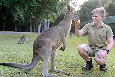 Small-Group Australia Zoo Day Trip From Brisbane - Surfers Gold Coast 4