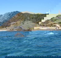 Kayaking with Dolphins in Byron Bay Guided Tour - Surfers Gold Coast