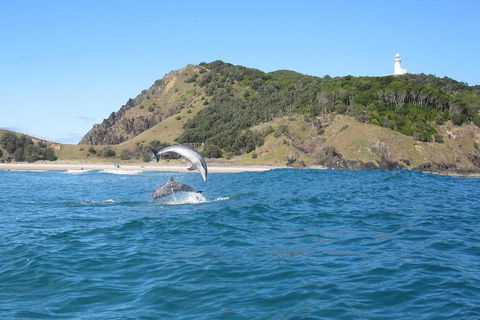 Kayaking With Dolphins In Byron Bay Guided Tour - Surfers Gold Coast 0