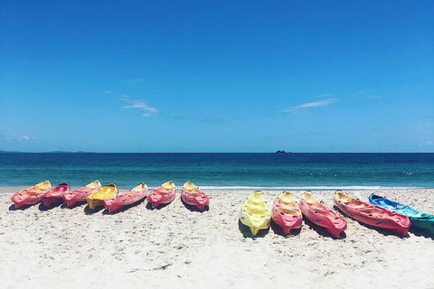 Kayaking With Dolphins In Byron Bay Guided Tour - Surfers Gold Coast 1