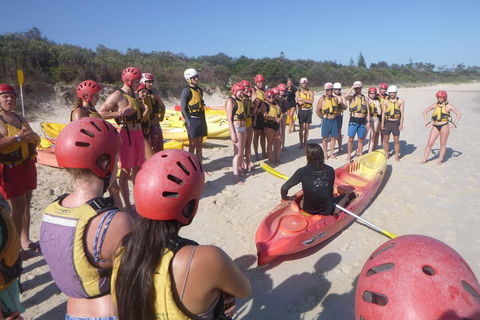 Kayaking With Dolphins In Byron Bay Guided Tour - Surfers Gold Coast 2