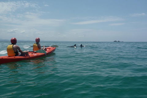 Kayaking With Dolphins In Byron Bay Guided Tour - Surfers Gold Coast 4