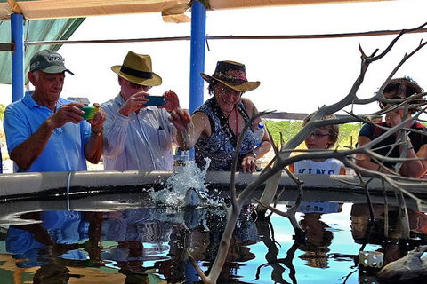 Cape Leveque 4WD Tour From Broome With Optional Return Flight - Surfers Gold Coast 0
