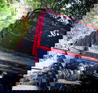 Blue Mountains Hop-on Hop-off Tour with Optional Scenic World Rides - Surfers Gold Coast