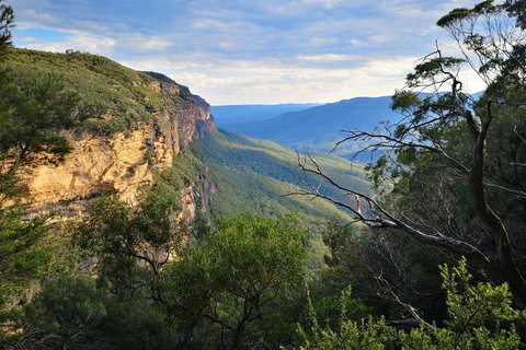 Blue Mountains Day Tour With Wildlife At Sunset From Sydney - Surfers Gold Coast 5