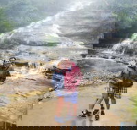 Blue Mountains Day Trip from Sydney with amazing lookouts Private Tour - Surfers Gold Coast