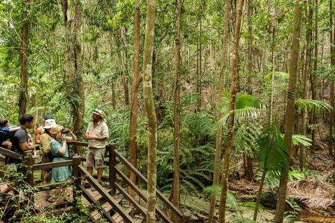 Fraser Explorer K'gari 2-Day Tour - Surfers Gold Coast 5