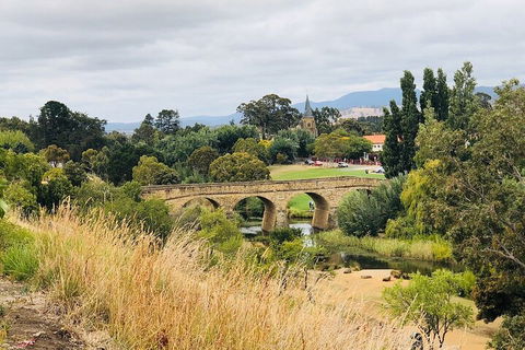 Day Tour In Mt. Field, Mt. Wellington, Bonorong Wildlife Sanctuary And Richmond - Surfers Gold Coast 3