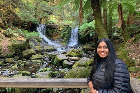 Day Tour In Mt. Field, Mt. Wellington, Bonorong Wildlife Sanctuary And Richmond - Surfers Gold Coast 5