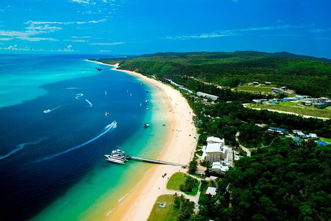 Tangalooma Island Resort Whale Watching Day Cruise - Surfers Gold Coast 2