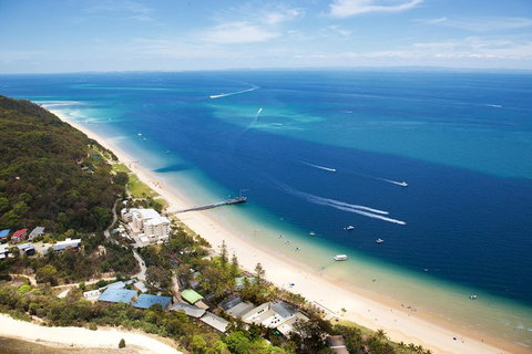 Tangalooma Island Resort Whale Watching Day Cruise - Surfers Gold Coast 3
