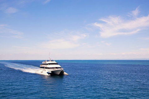 Tangalooma Island Resort Whale Watching Day Cruise - Surfers Gold Coast 5
