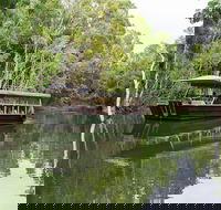 Hartley's Crocodile Adventures Breakfast with the Koalas - Surfers Gold Coast