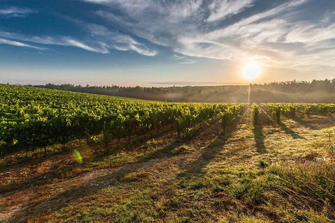 Perth To Margaret River Wine Tour - 2 Day Premium Boutique Wine Tour Experience - Surfers Gold Coast 0