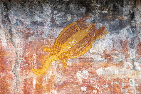 Kakadu Wilderness Escape - Top End Day Tour From Darwin - Surfers Gold Coast 2