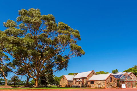 McLaren Vale And Glenelg Wine Tasting And Sightseeing (Half-day Afternoon) - Surfers Gold Coast 5