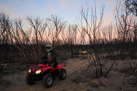 Kangaroo Island Quad Bike (ATV) Tours - Surfers Gold Coast 1