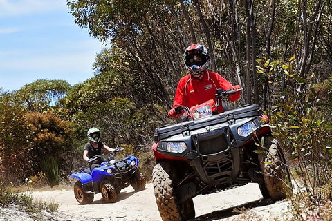 Kangaroo Island Quad Bike (ATV) Tours - Surfers Gold Coast 5
