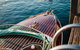 Private Luxury Cruise On Sydney Harbour For Up To Six Guests - thumb 5