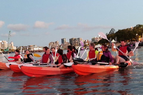 Brisbane River Guided Evening Tour By Kayak - Our Most Popular Tour - Surfers Gold Coast 0