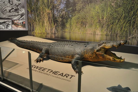 Explore Darwin City Sights Including Key Attractions - Surfers Gold Coast 2
