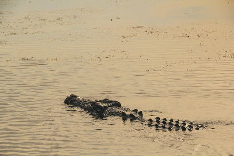Yellow Water Cruise - Kakadu - Surfers Gold Coast 2