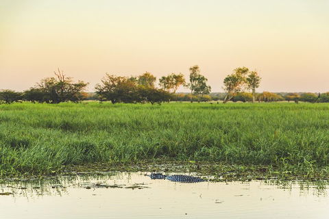 Yellow Water Cruise - Kakadu - Surfers Gold Coast 3