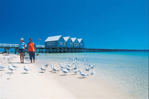 Margaret River And Geographe Bay Region Day Trip From Perth - Surfers Gold Coast 0