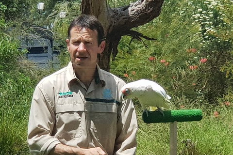 Healesville Sanctuary And Rayners Orchard Tour From Melbourne - Surfers Gold Coast 0