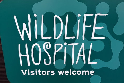 Healesville Sanctuary And Rayners Orchard Tour From Melbourne - Surfers Gold Coast 1