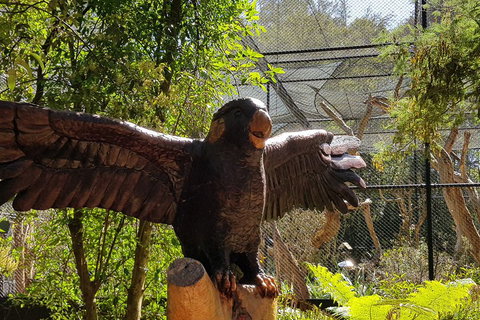 Healesville Sanctuary And Rayners Orchard Tour From Melbourne - Surfers Gold Coast 2