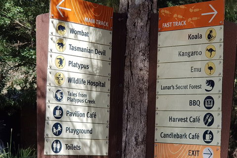 Healesville Sanctuary And Rayners Orchard Tour From Melbourne - Surfers Gold Coast 3