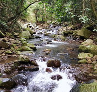 Springbrook Full Day Tour - Surfers Gold Coast