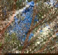 Kangaroo Island 4WD Tour - Best of KI in 2 Days