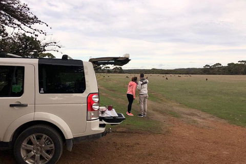 Kangaroo Island 4WD Tour - Flinders Chase - Surfers Gold Coast 3