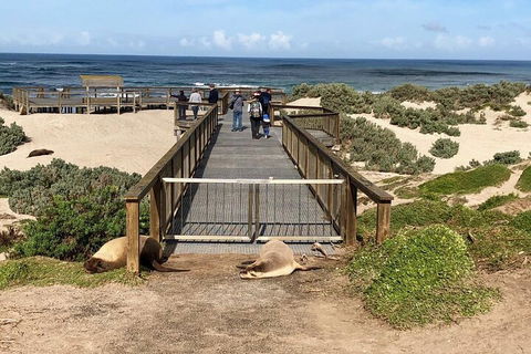 Kangaroo Island 4WD Tour - Best Of KI - Surfers Gold Coast 2