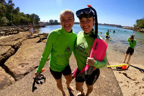 Manly Snorkel Trip And Nature Walk With Local Guide - Surfers Gold Coast 1