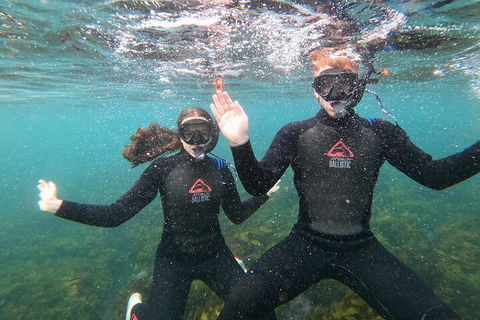 Manly Snorkel Trip And Nature Walk With Local Guide - Surfers Gold Coast 3