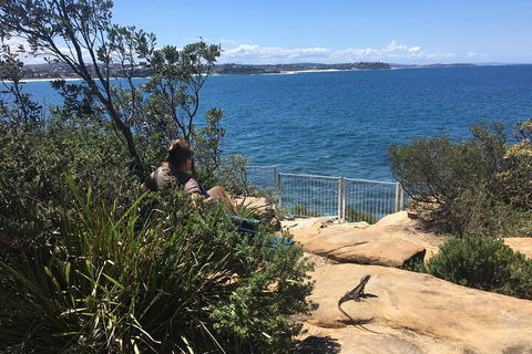 Manly Snorkel Trip And Nature Walk With Local Guide - Surfers Gold Coast 4
