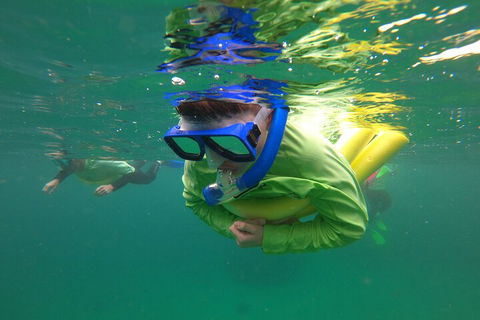 Manly Snorkel Trip And Nature Walk With Local Guide - Surfers Gold Coast 5