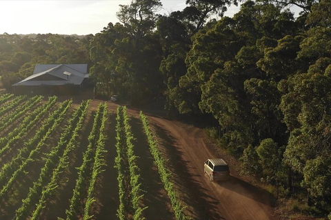 The All About Margaret River Tour: Wine, Coffee, Lunch And Forest - Surfers Gold Coast 1