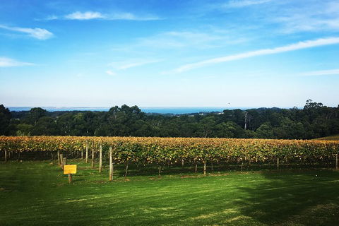 Yarra Valley Private Car Winery Tour And Chocolate.1-7 Passengers One Car Price - Surfers Gold Coast 0
